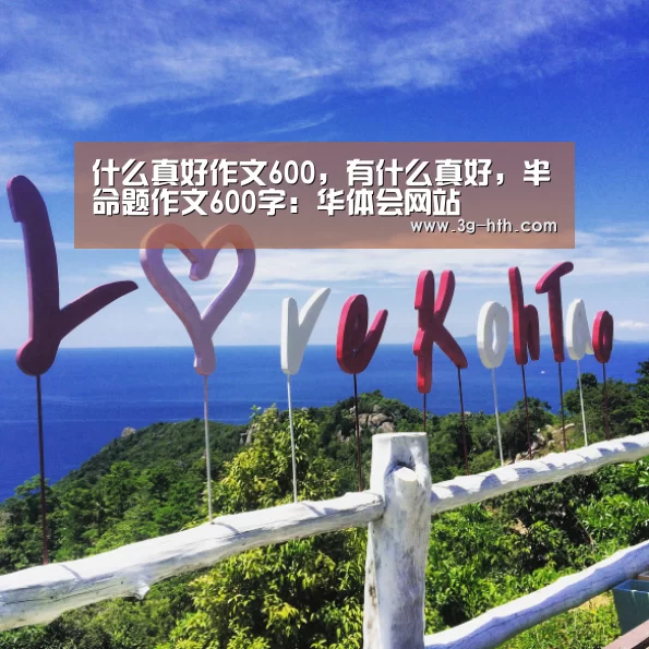 华体会官方入口